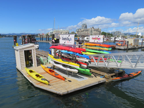 Kayak Rentals and Tours