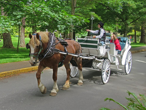Carriage Tour in Victoria BC