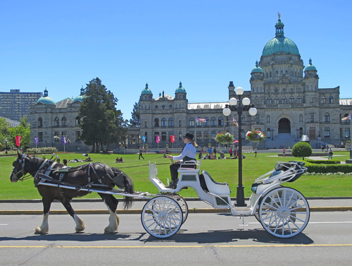 Carriage Ride in Victoria BC