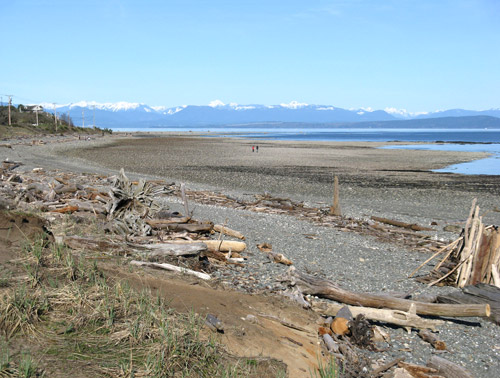 Beach on the East Coast of Vancouver Island
